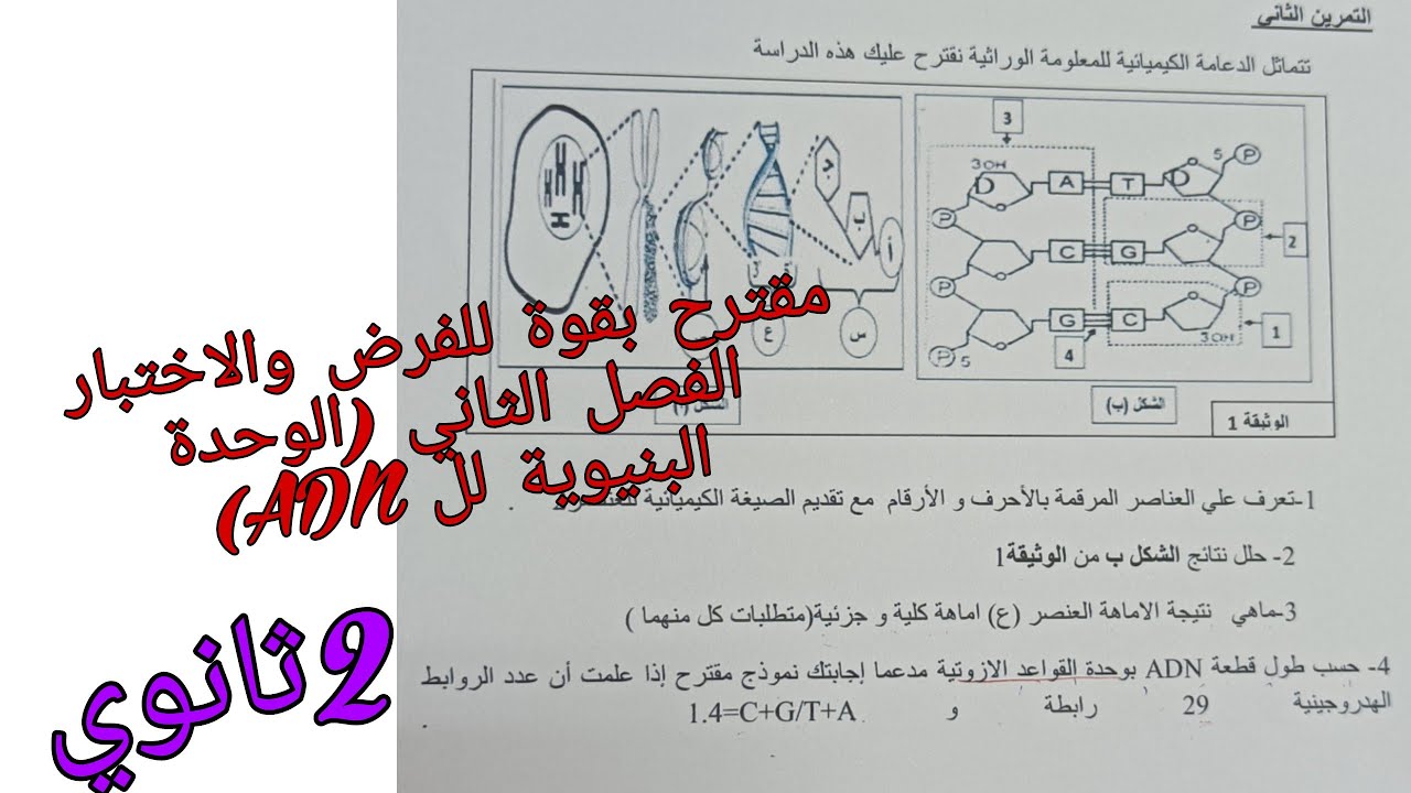 مقترح بقوة للفرض 2والاختبار الفصل الثاني في العلوم للسنة الثانية ثانوي (الوحدة البنيوية لل ADN)