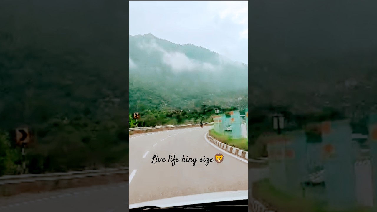 ℒ𝒾𝓋ℯ 𝓁𝒾𝒻ℯ 𝓀𝒾𝓃ℊ 𝓈𝒾𝓏ℯ #adventureawaits #illahi #mountainscalling #hillstationvlog #hillsvibes