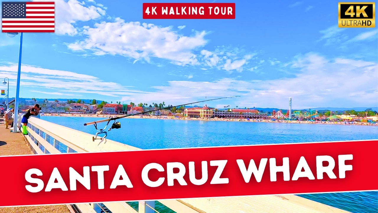 Santa Cruz California Summer 2024: Wharf, Beach, Sea Lions, Fishing! ☀️🦭🎣