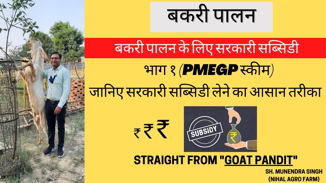 बकरी पालन के लिए सब्सिडी कैसे प्राप्त करे (PMEGP स्कीम) / Subsidy for Goat Farming (PMEGP Scheme)