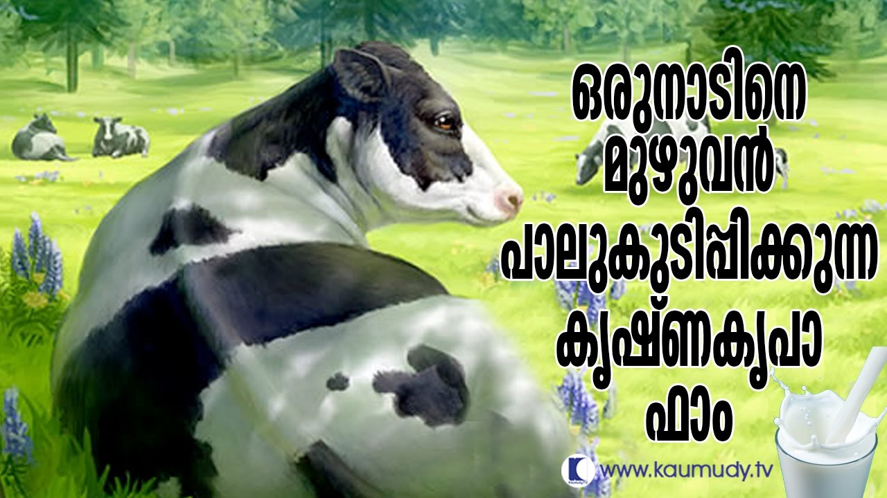 Thulasidhara Kurup's Krishnakripa Dairy Farm in Kerala | Haritham Sundaram | Kaumudy TV