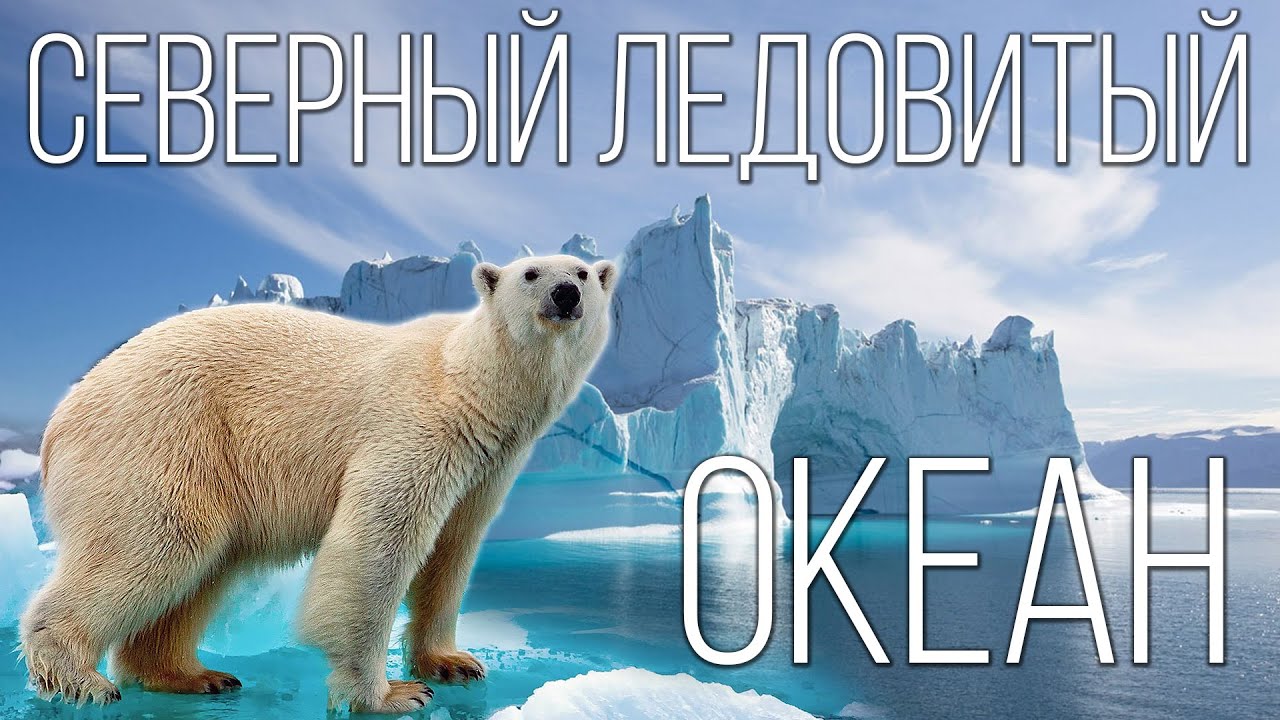 Северный Ледовитый океан: Самый Маленький Океан | Интересные факты про Северный Ледовитый океан