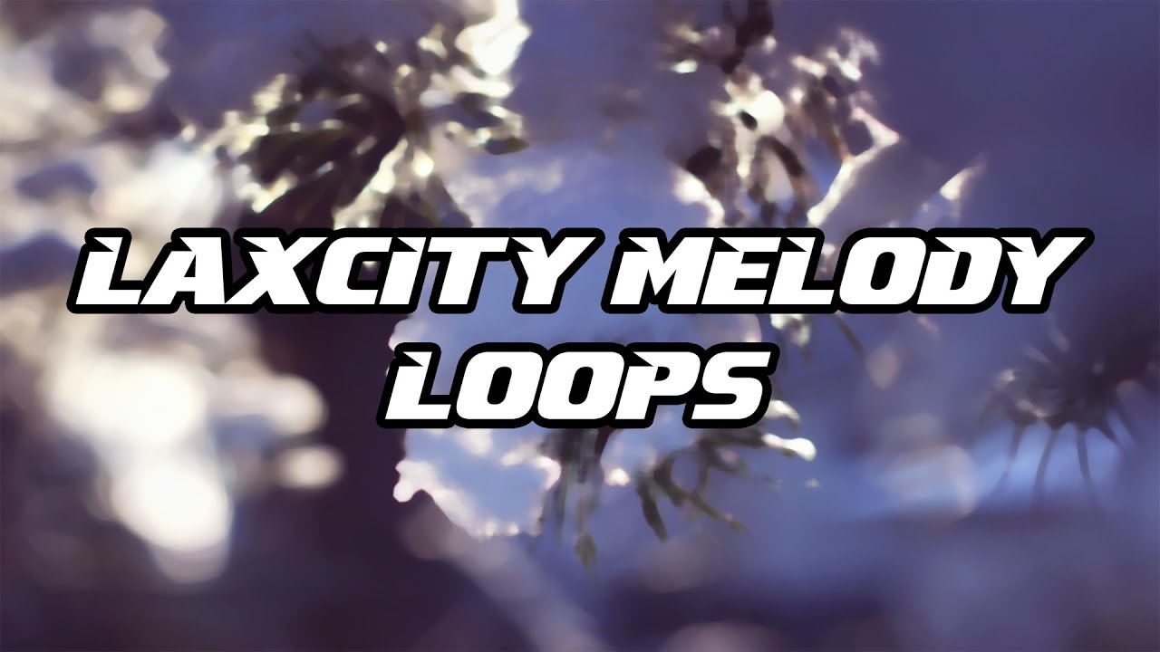 Tutorial #60 | Laxcity Melody Loops