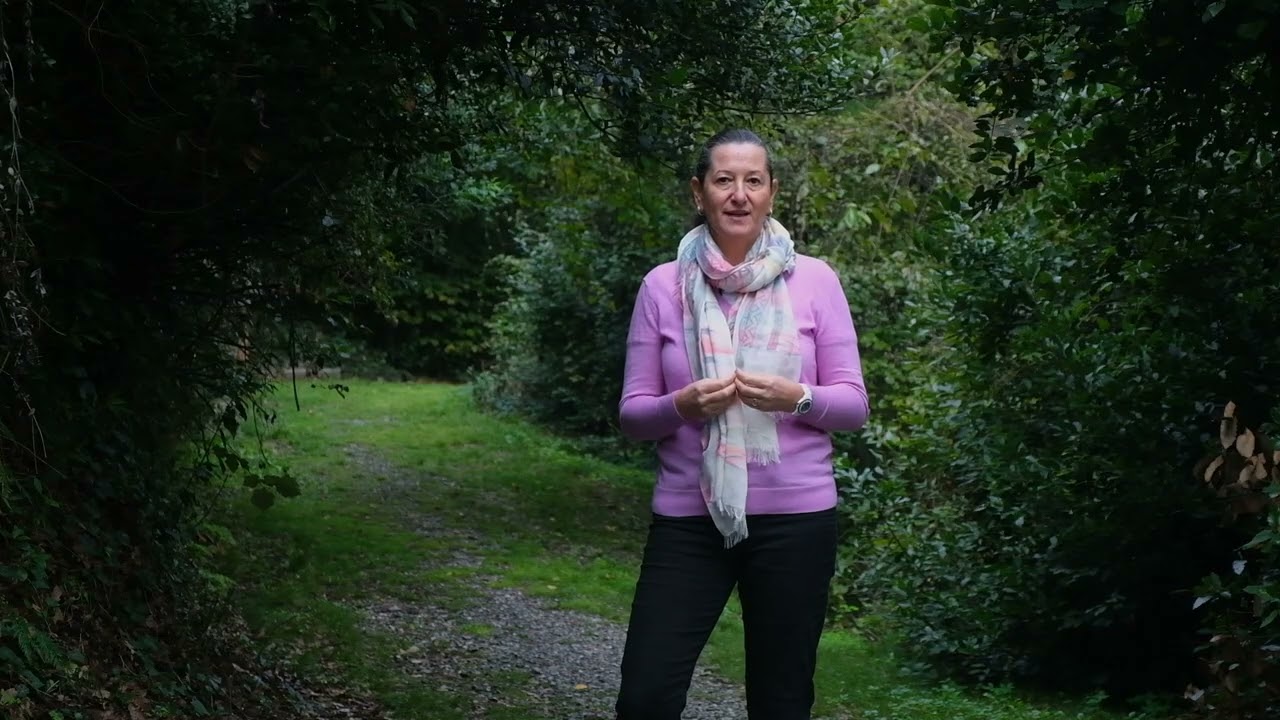 Çabasızlık - 9 Mindfulness Tutumu Programı #mindfulness #9mindfulnesstutumu #çabasızlık