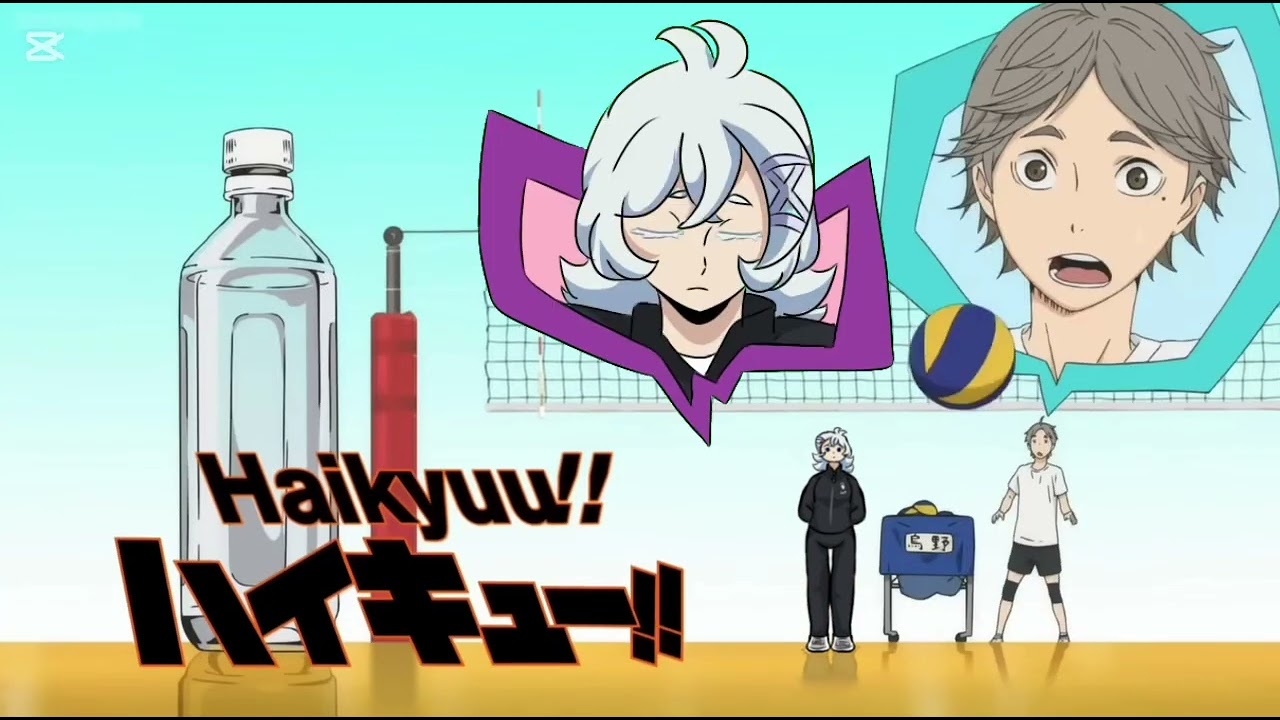 Haikyuu Extra (Haikyuu Oc insert//Sugaori)