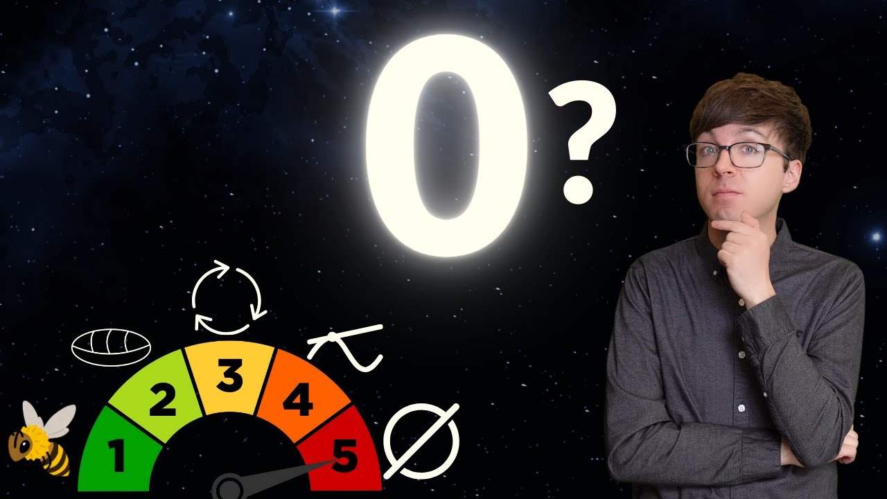 What is 0? From Bee Brains to the Minds of Mathematicians