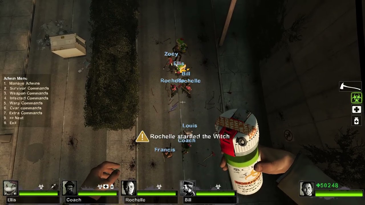 Left 4 Dead 2   Direct3D 9 2026 01 26 19 25 39