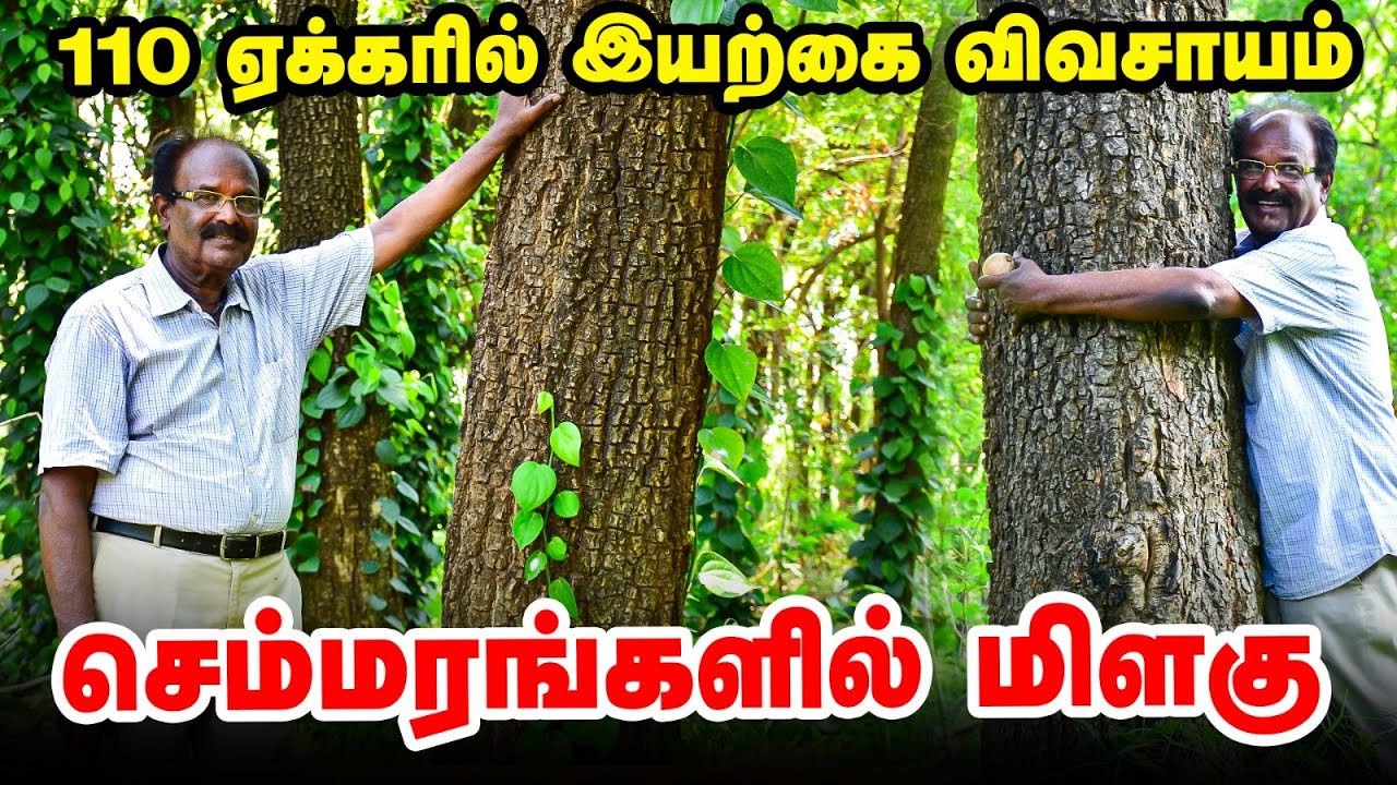 காசு இல்லாம விவசாயம் செய்யறதுதான் என் Principle | Peninsula Hotel Owner-ன் அசத்தல் முயற்சி | Part-2