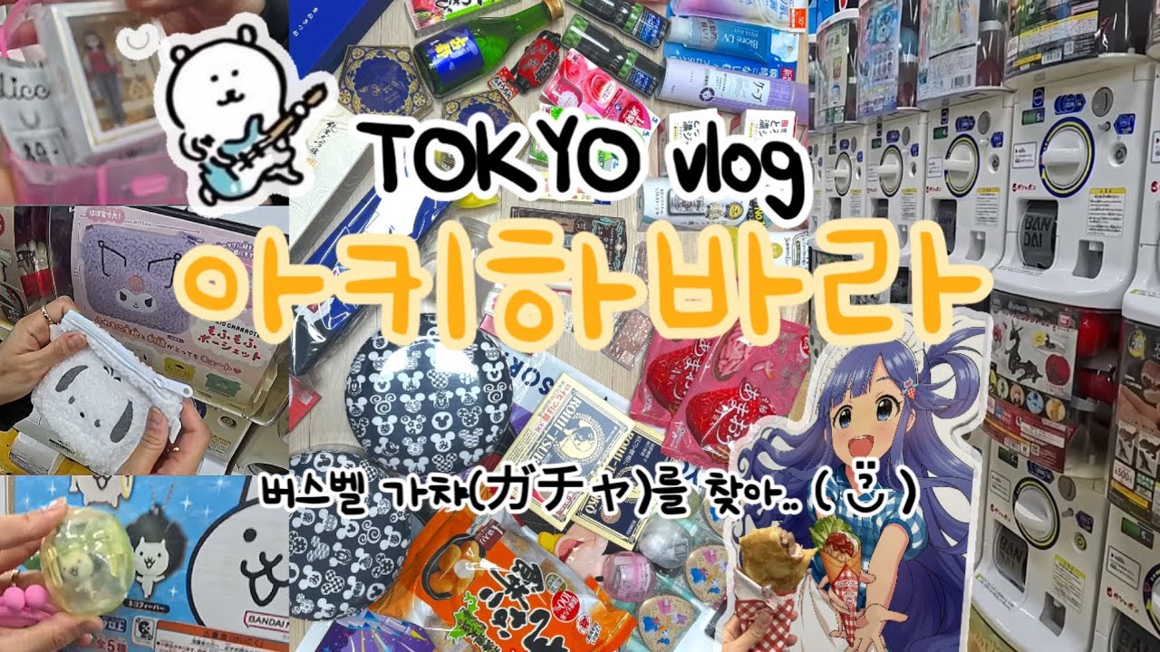 [도쿄 vlog] 아키하바라에서의 하루(구글맵⭕️) | 맛집•돈키호테 추천템 🛒 요도바시카메라 가챠🪀 디즈니씨 이모저모🐭