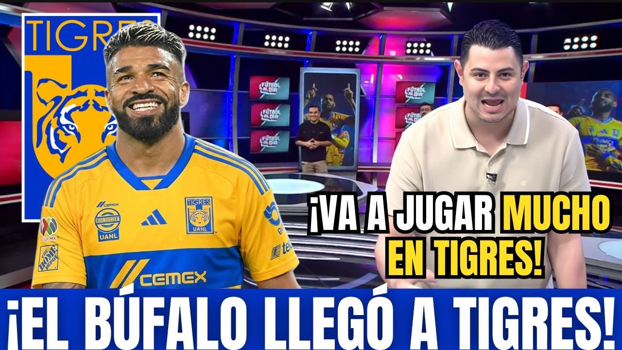 🚨¡RODRIGO AGUIRRE LLEGA A TIGRES! ¡EL DEBATE SE ENCIENDE SOBRE LOS DELANTEROS DE TIGRES! TIGRES HOY