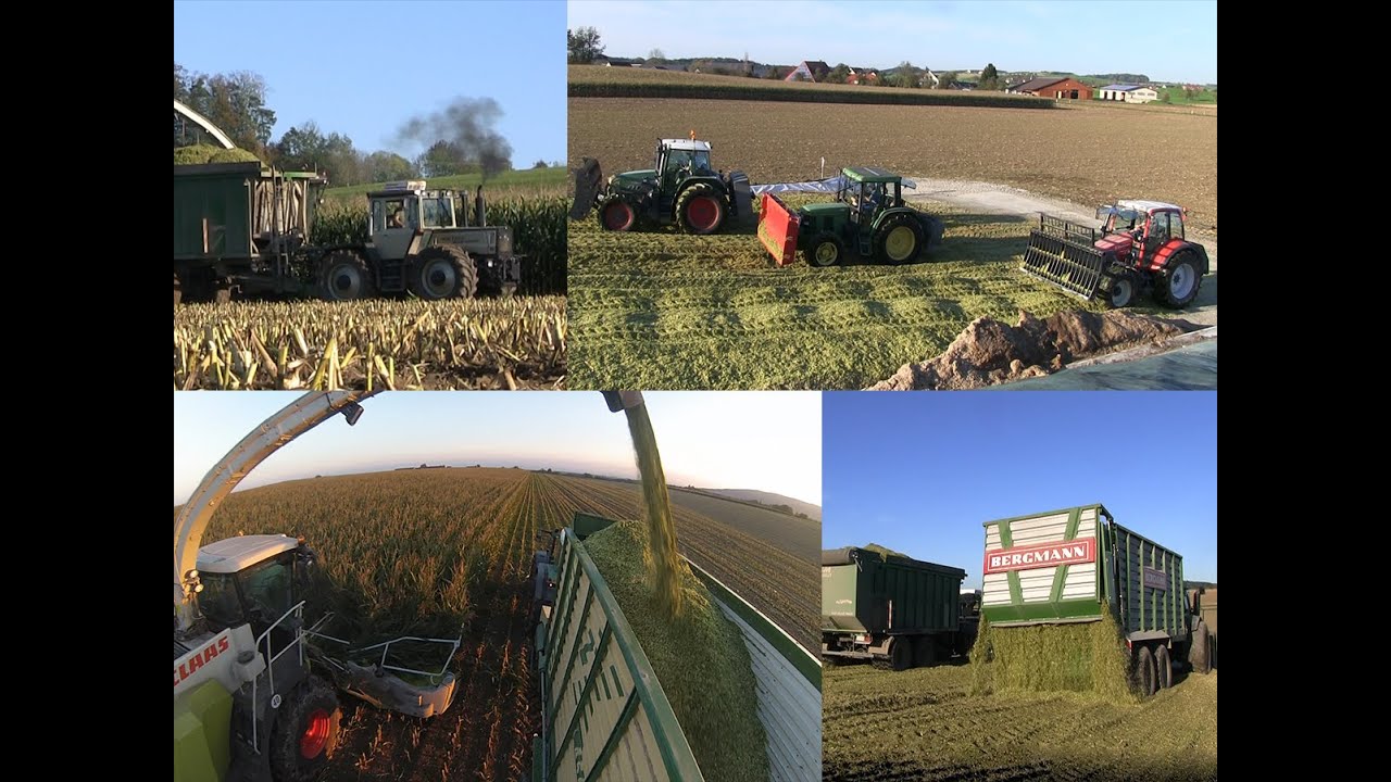Claas Jaguar 960 | Maish&auml;ckseln - Lu Walser
