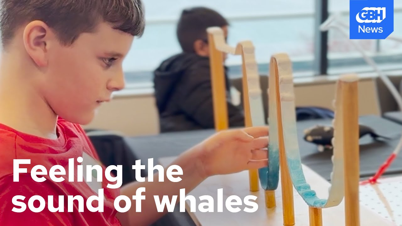 Using music to make marine science accessible for blind and low vision people