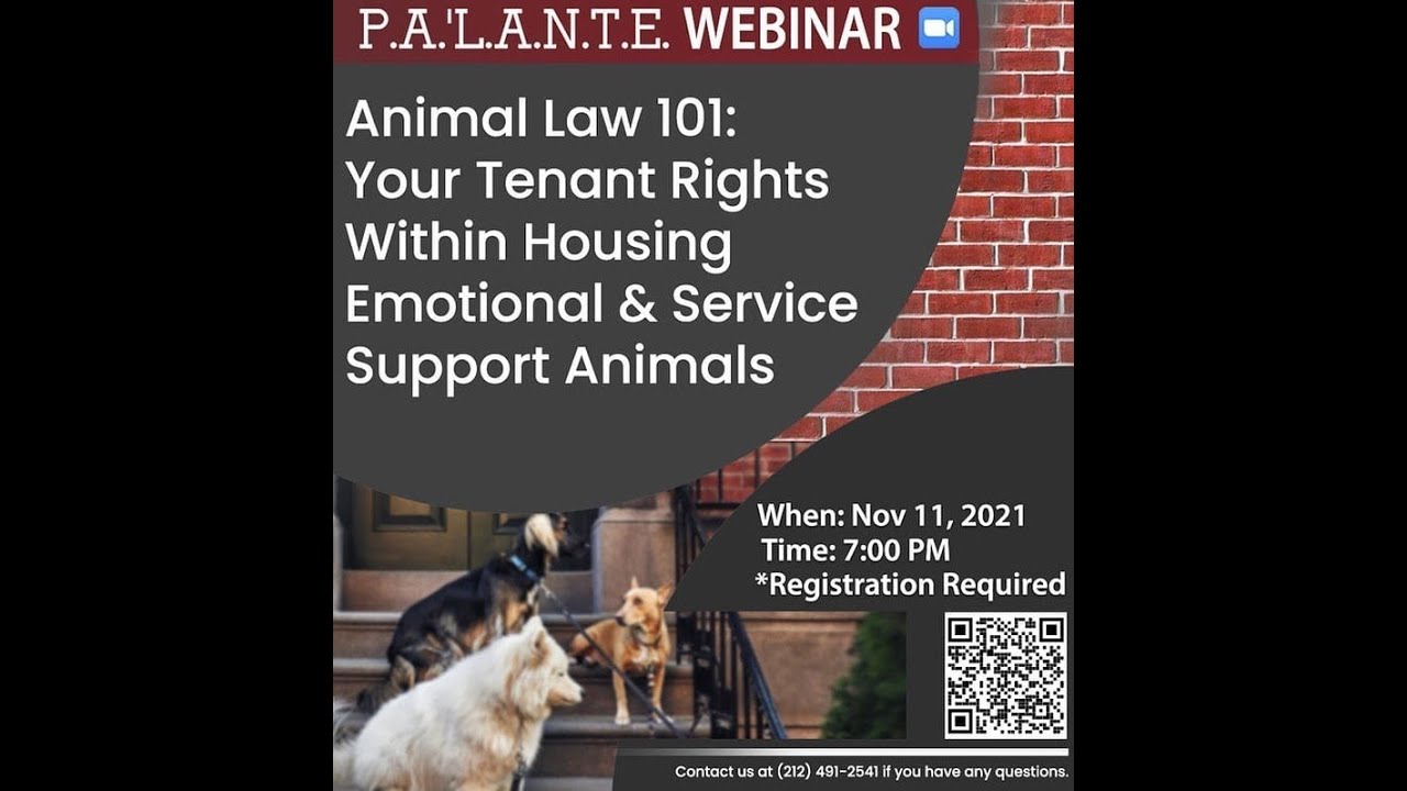 Animal Law 101: Your Tenant Rights Within Housing Emotional & Service Support Animals