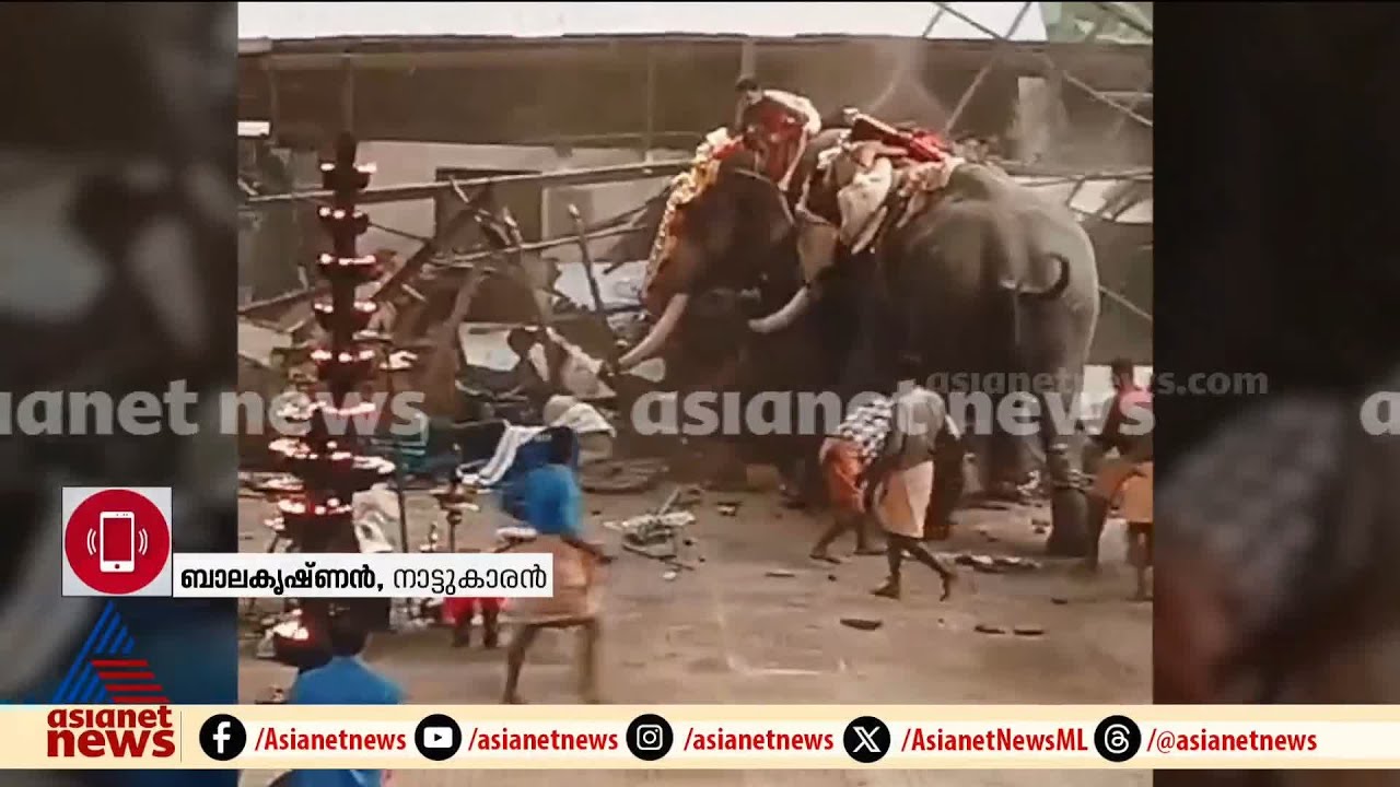 'വെടിയൊച്ച കേട്ടപ്പോൾ ആന മുന്നിലെ ആനയെ കുത്തി,ആന മുന്നോട്ട് പോയി ഇടിച്ച കെട്ടിടം ഇടിഞ്ഞു വീണു'