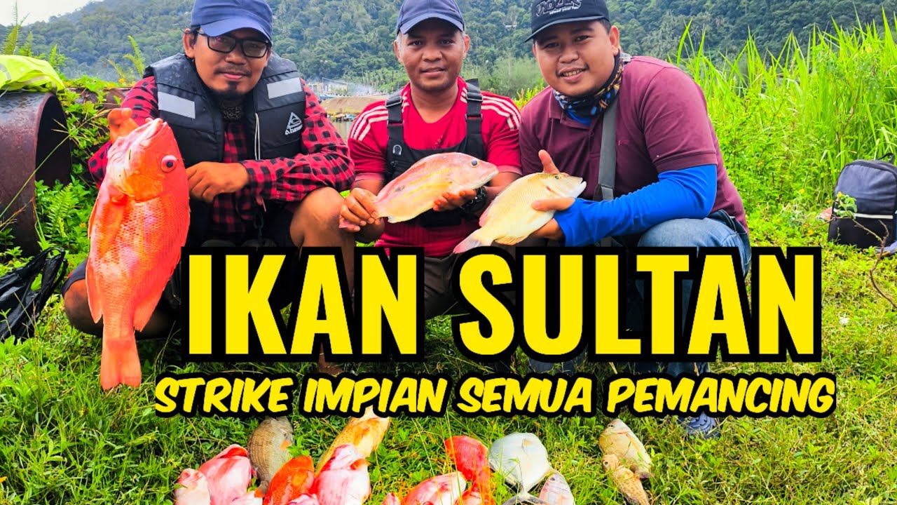 MANCING MANIA DI LAUT PADANG - Strike Kakap Merah Impian Para Pemancing