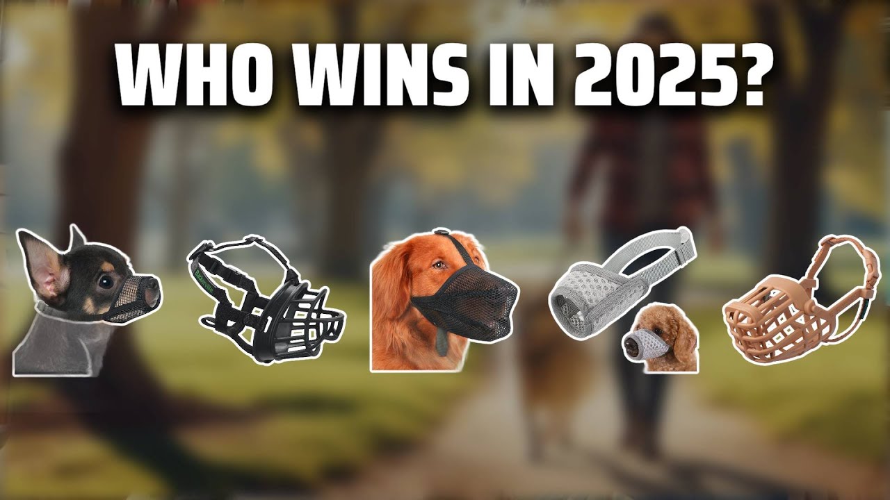 The Top 5 Best Dog Muzzles in 2025 - Must Watch Before Buying!