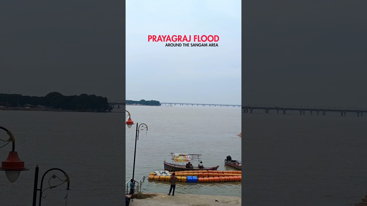 Prayagraj Sangam Flood Today ⛈️ Sangam Water Level Today ⛈️ Prayagraj Sangam Badh #prayagraj #flood