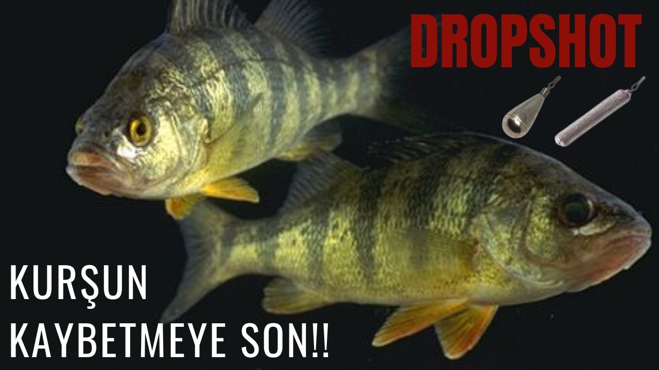 DROPSHOT YENİ SİSTEM İLE  KURŞUN -YEM KAYBETMEYE SON!!!LRF LIGTROCKFISHING