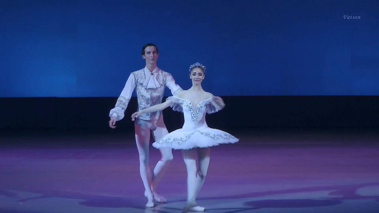 Sleeping Beauty pas-de-deux Anna Muromtseva and Oleg Ligai