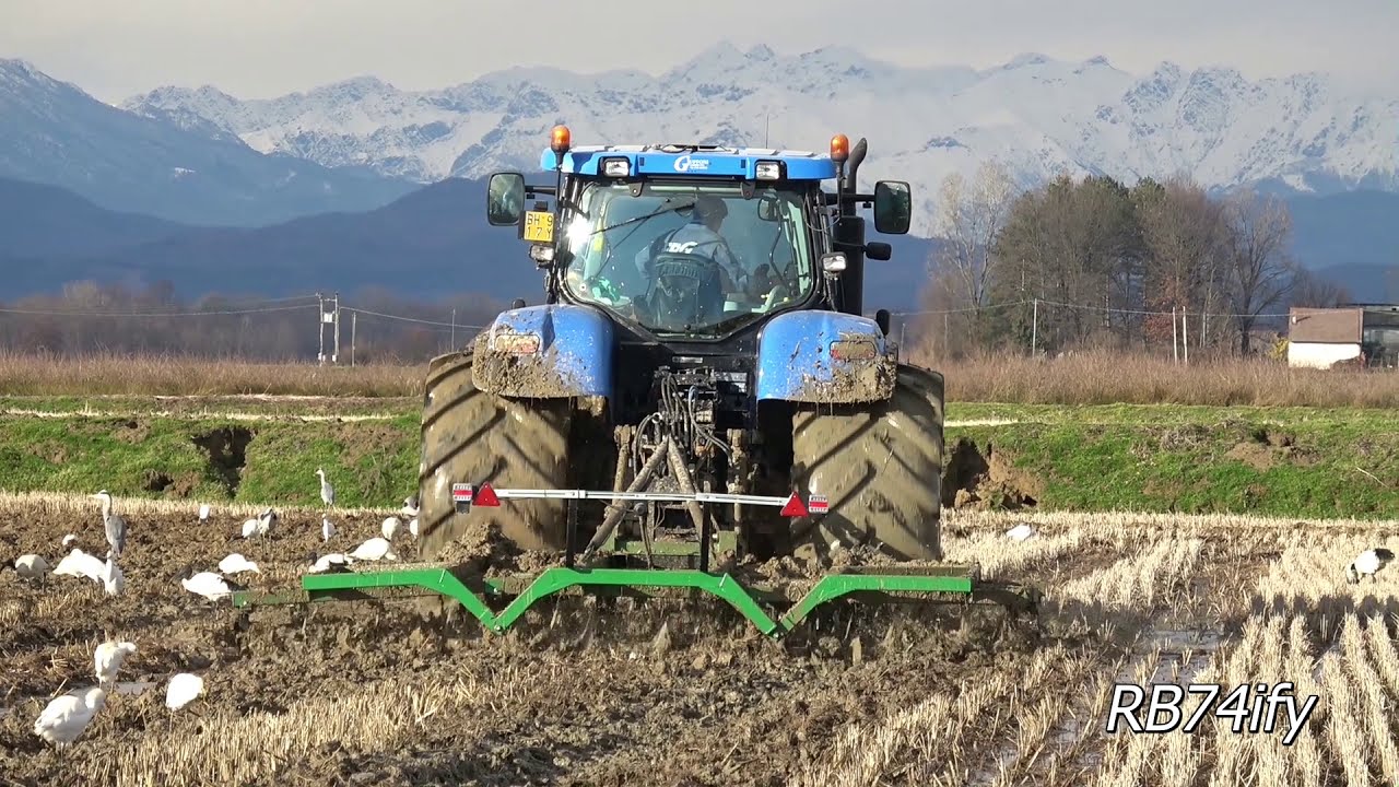 Minimum Tillage in Paddy Rice - New Holland T7.270 with Large Tires & Kronos 4200