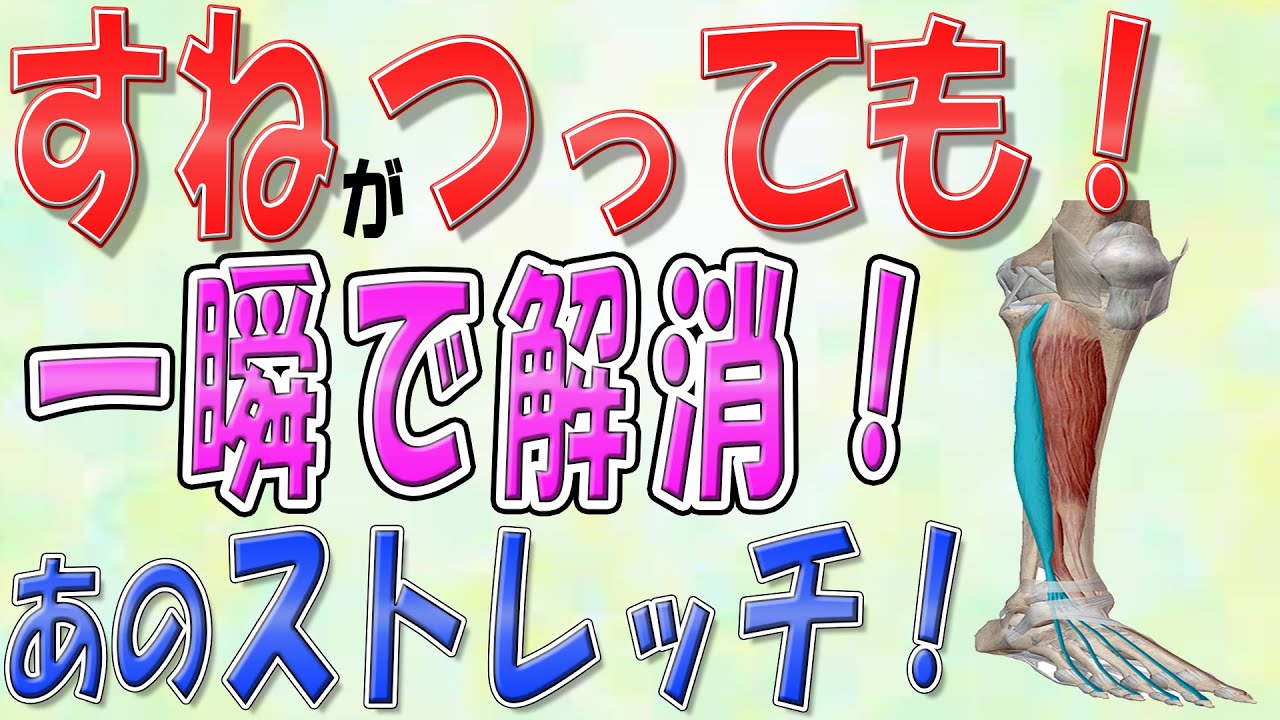 【すね 疲れ ストレッチ】すねがつった！一瞬で解消するならこのストレッチ！疲れも解消できます！！