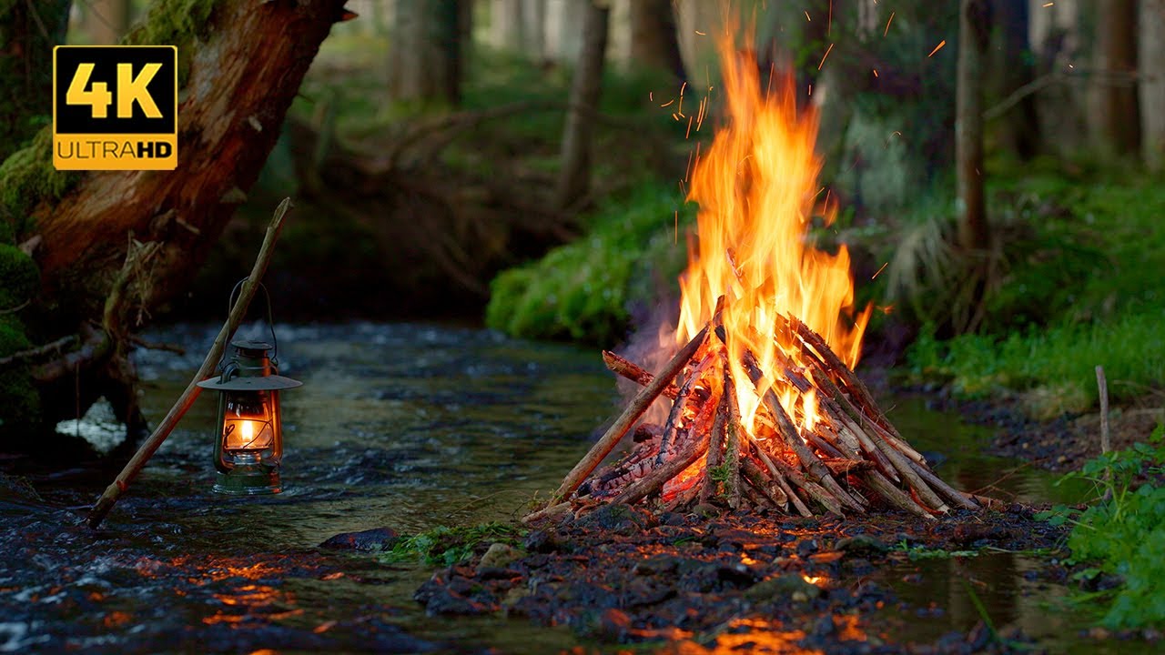 12H Campfire by the River of Hope 🌿Soothing Sounds of pure Nature