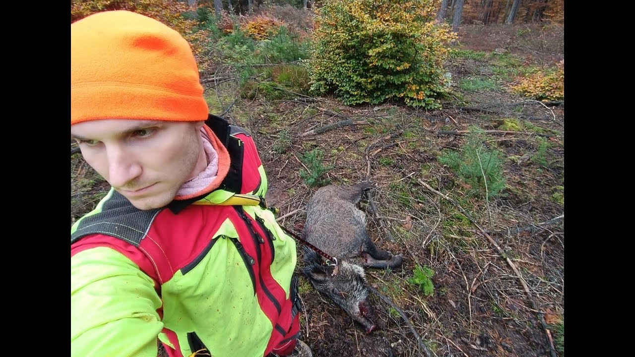 Dr&uuml;ckjagd aus dem Klettersitz - Sauen unterm Baum