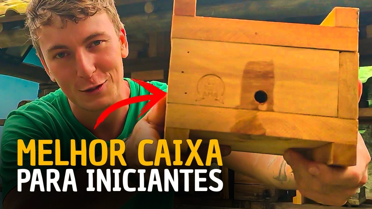 Qual a MELHOR CAIXA RACIONAL para criar ABELHAS SEM FERRÃO? (INICIANTES)