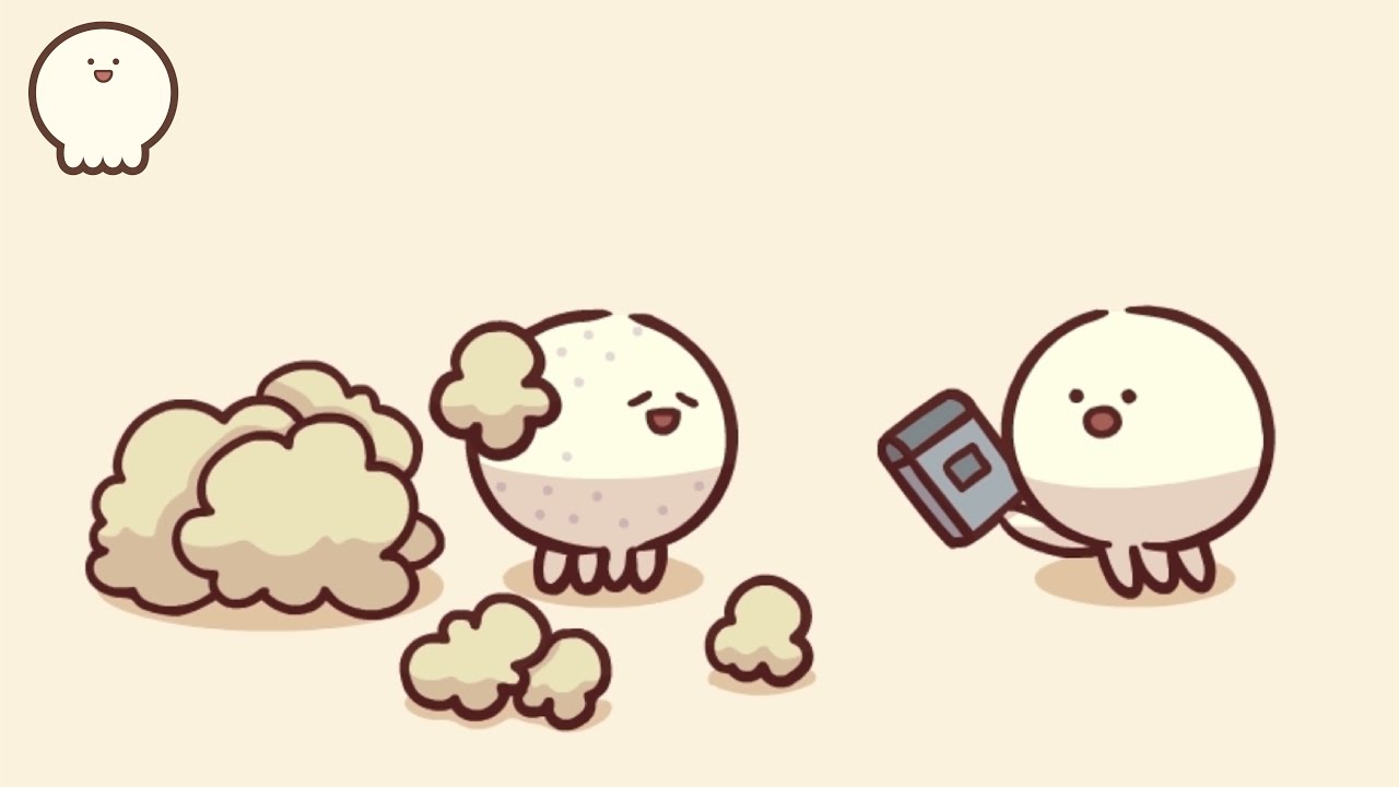 The Secret of Donut _ Donut Observation Log 3