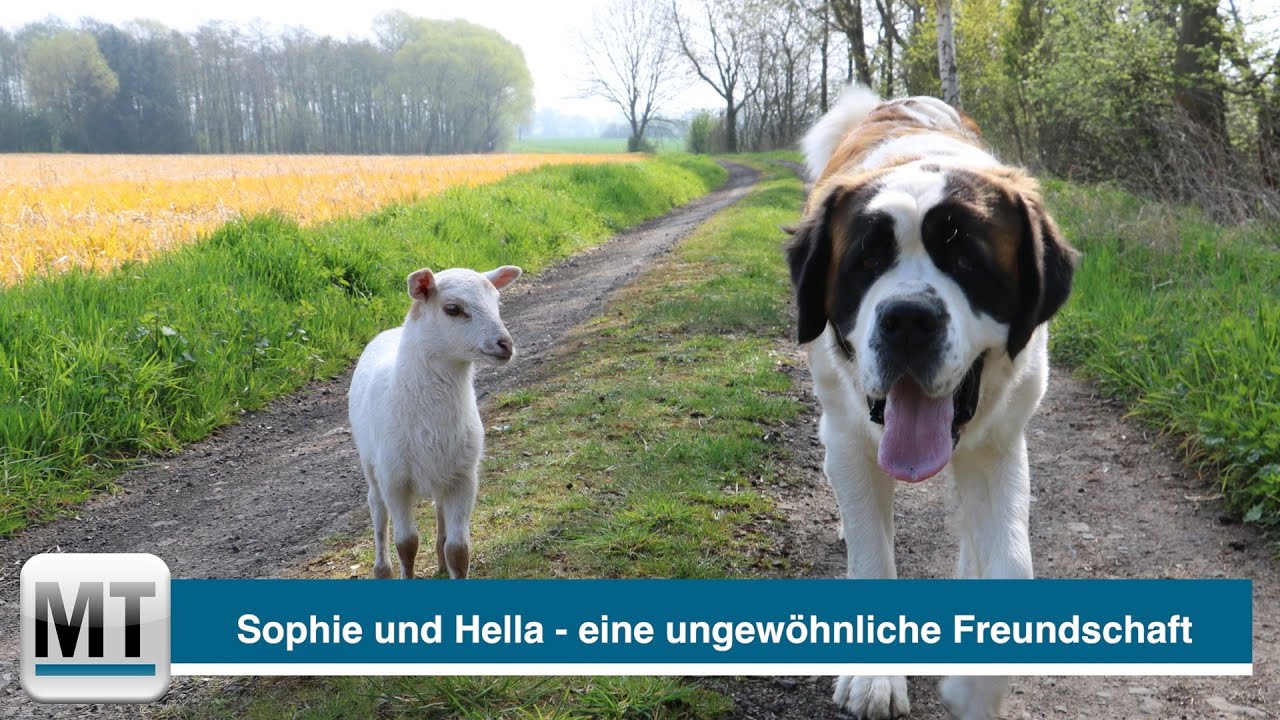 Sophie und Hella - eine besondere Tierfreundschaft