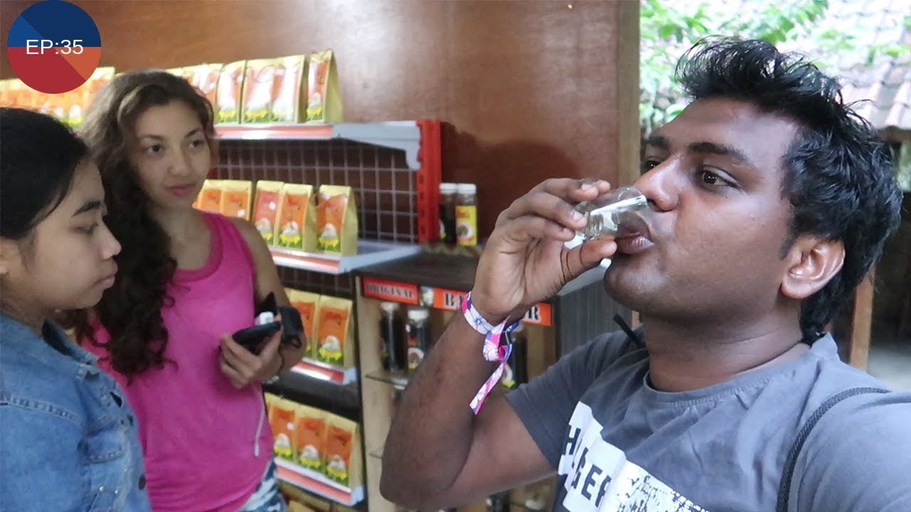 Having  Most Expensive Coffee in Bali || Must Watch