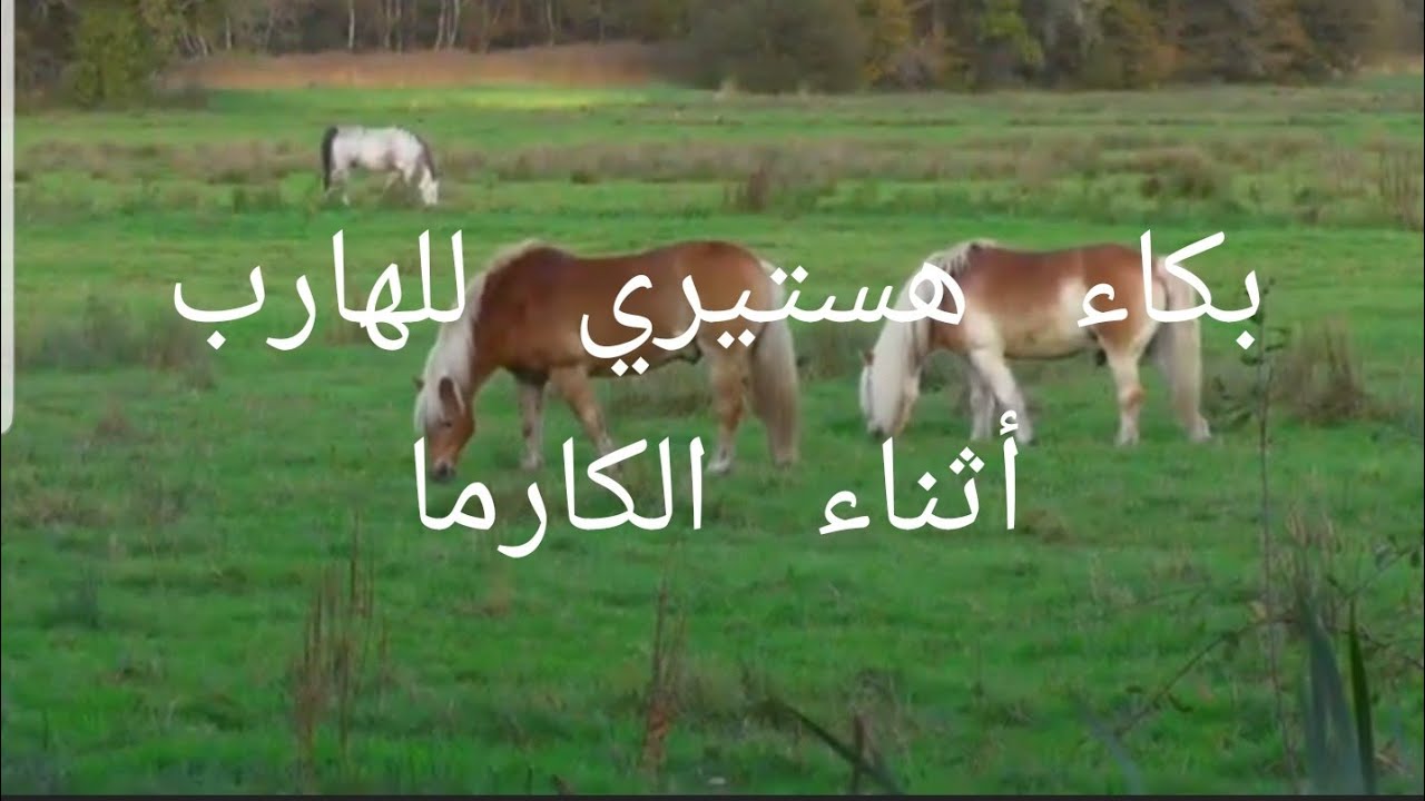 طاقة الهارب و بكاء هيستيري ملازمه أثناء الكارما