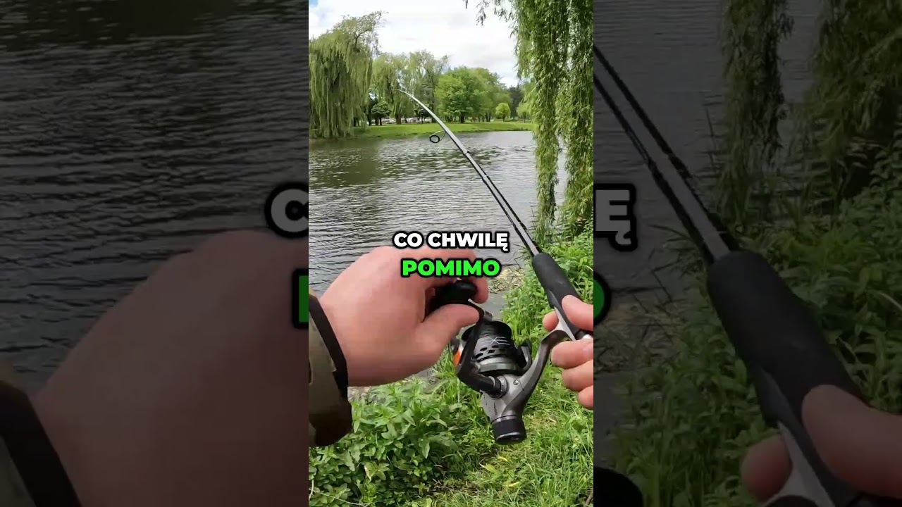 WĘDKA ZA 90 ZŁ vs GIGA SZCZUPAK #wędkarstwo #spinning