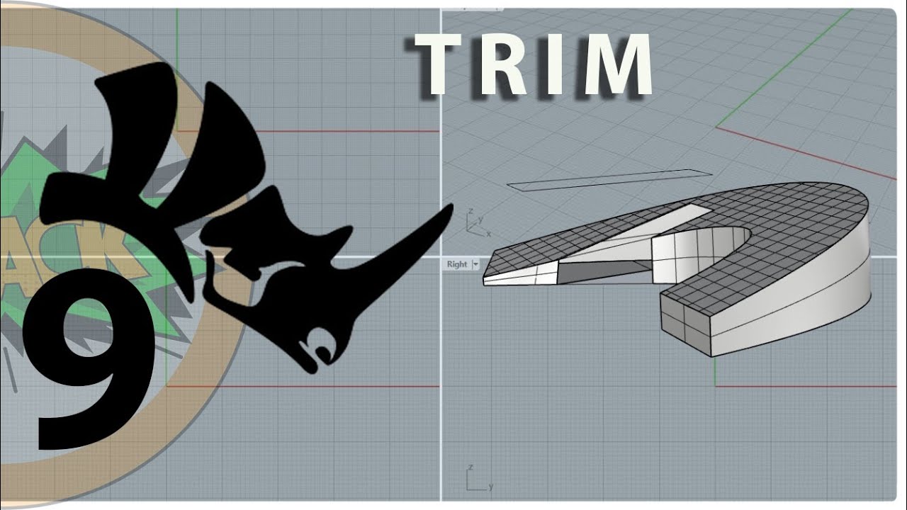 How to Trim Objects in Rhino | RHINO FOR NOOBS EP9