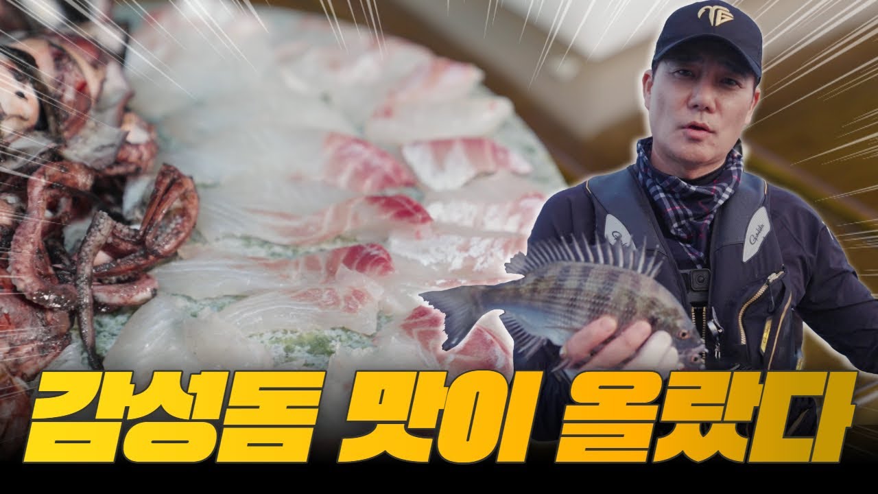 [킹태곤] 감성돔을 잡아서 먹어보자!!