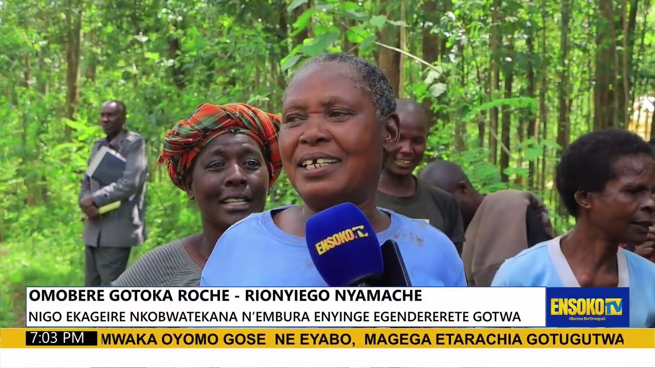 OMOBERE GOTOKA ROCHE - RIONYIEGO NYAMACHE