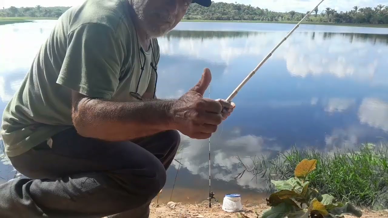 Pescaria de tilapia, só as brutas