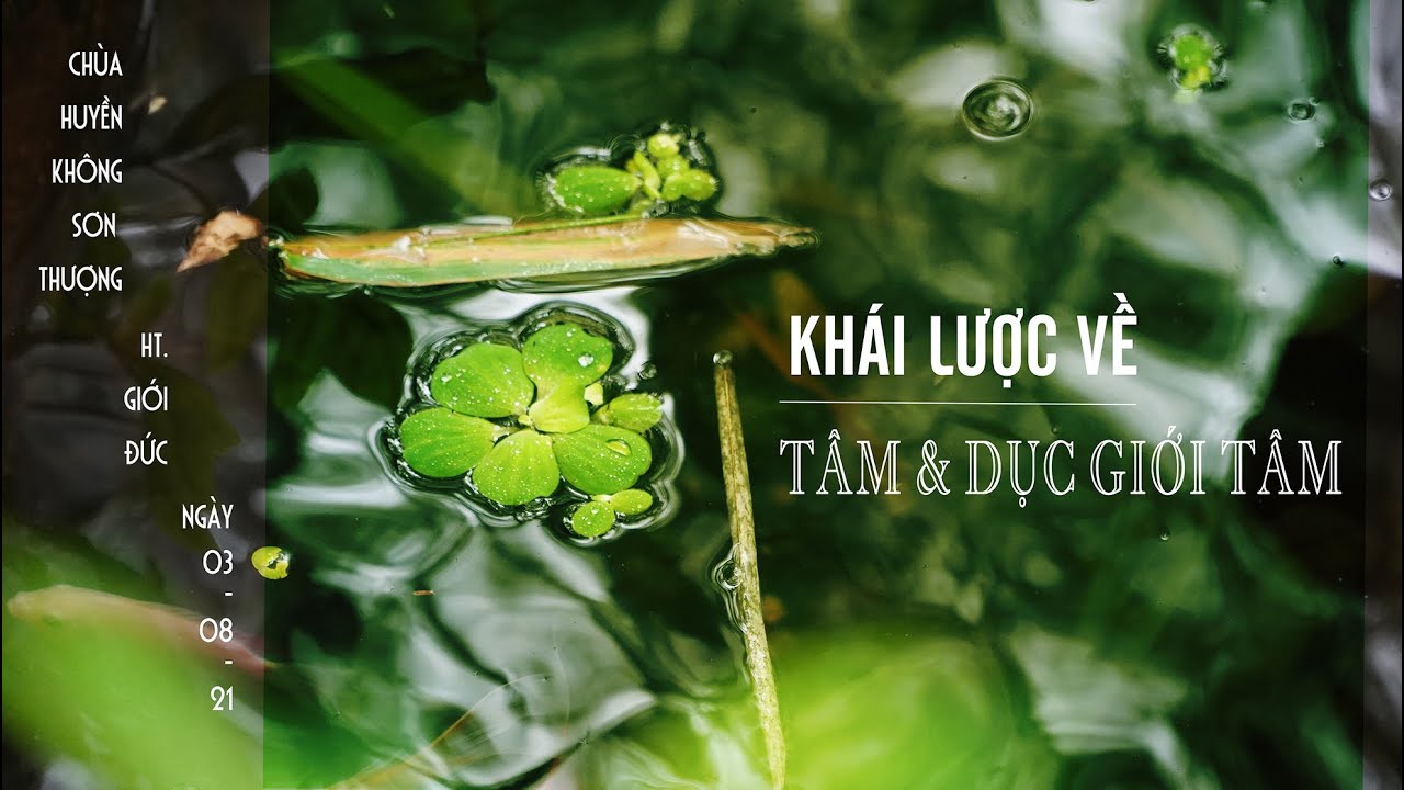 Abhidhamma (Buổi 2): Khái Lược Tâm và Dục Giới Tâm | HT. Giới Đức | Ngày 3/8/2021