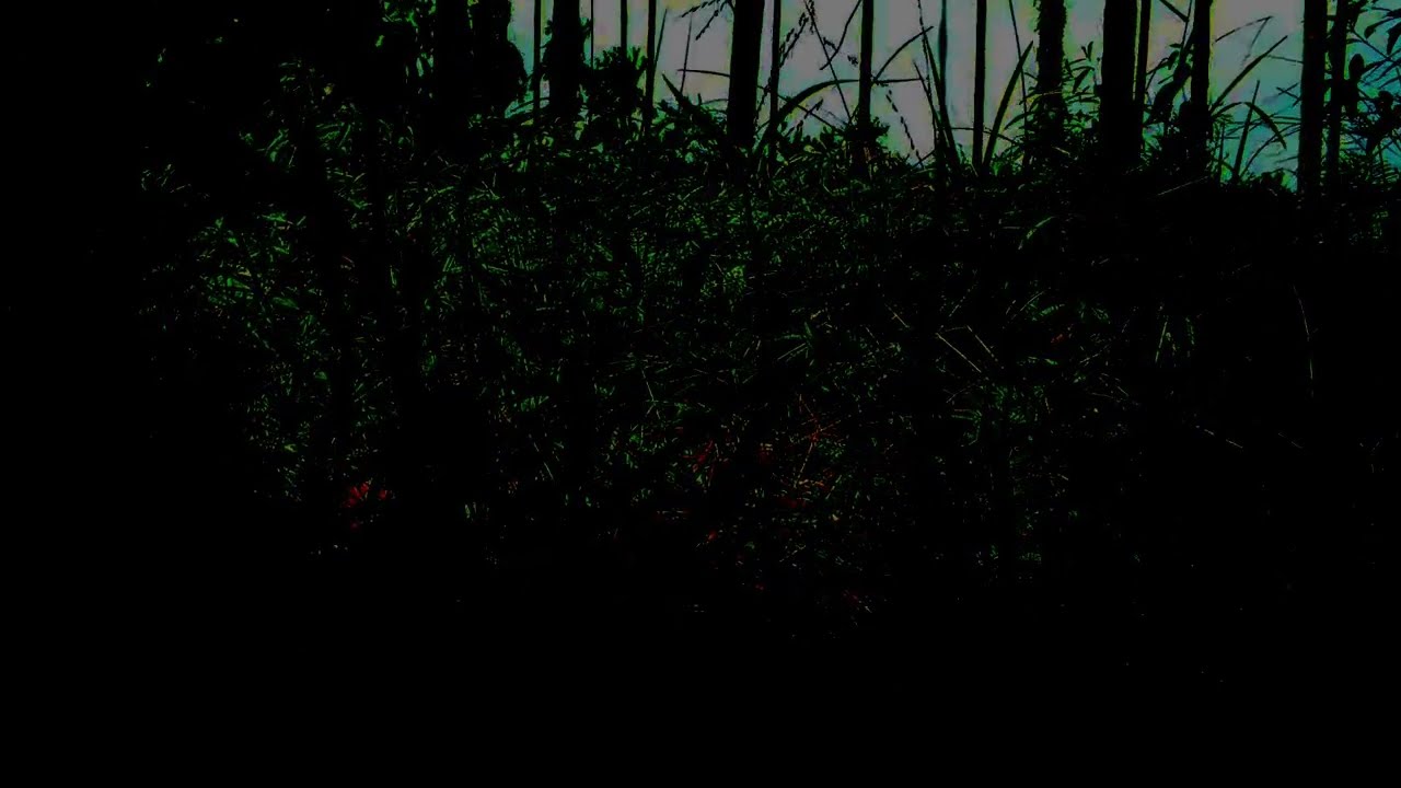 SLEEP with RAIN Sounds BLACK SCREEN | Sleep and Relaxation | Dark Screen Nature Sounds
