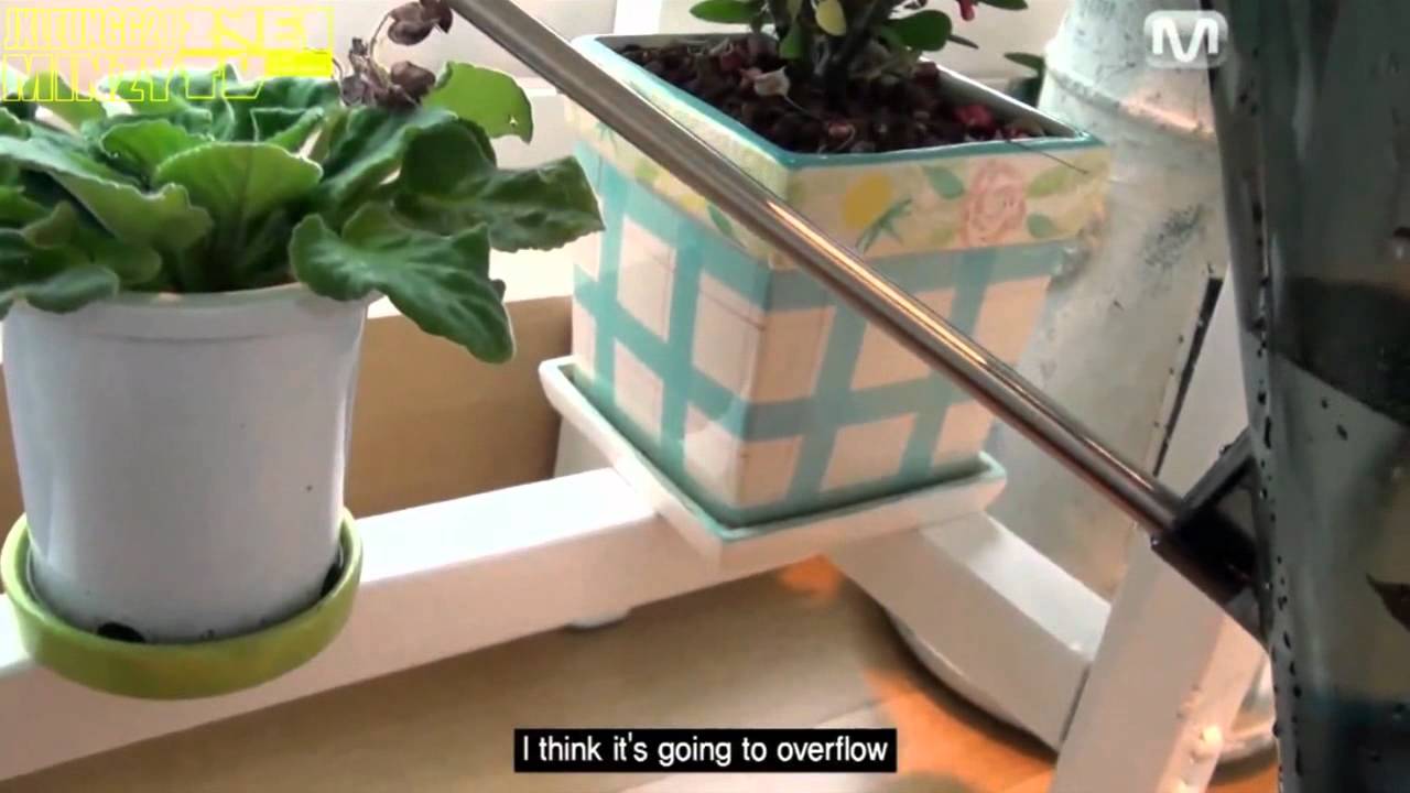 MINZYTV (S3E01): Cute/Funny cuts of Minzy from 2NE1TV