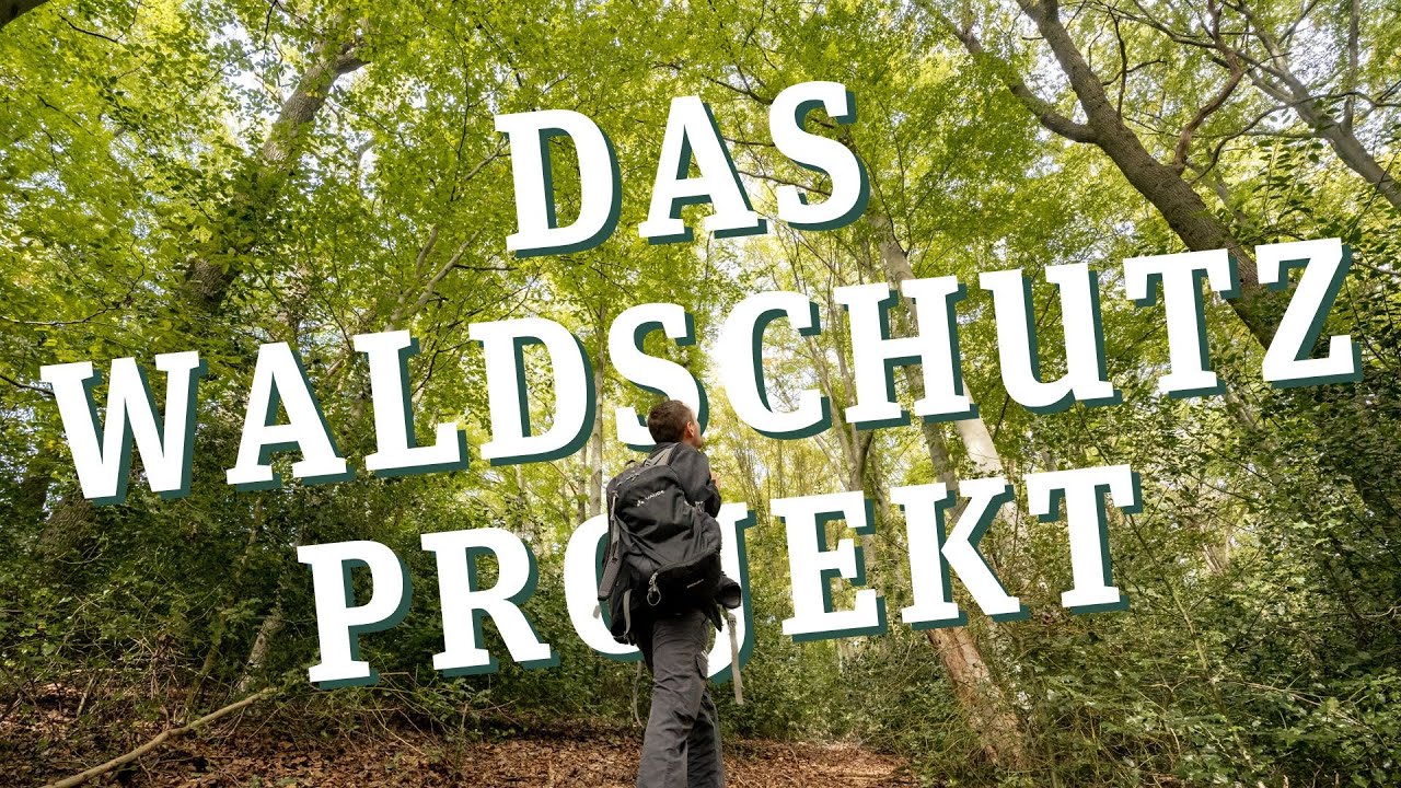 Behind the Scenes - Wie entsteht das UrwaldProjekt
