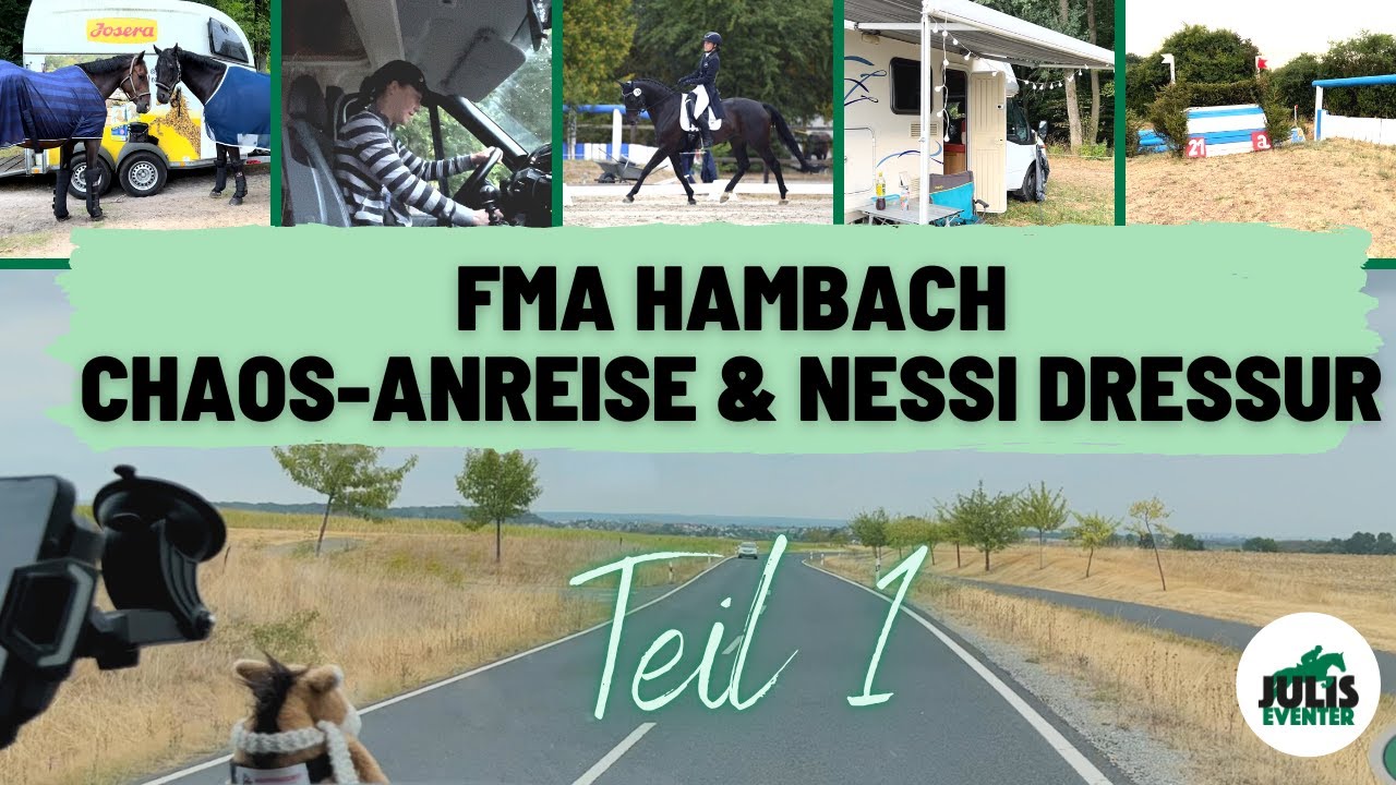 CHAOS FMA Hambach 🤪 - CCI3* & VA / Teil 1 / Josera