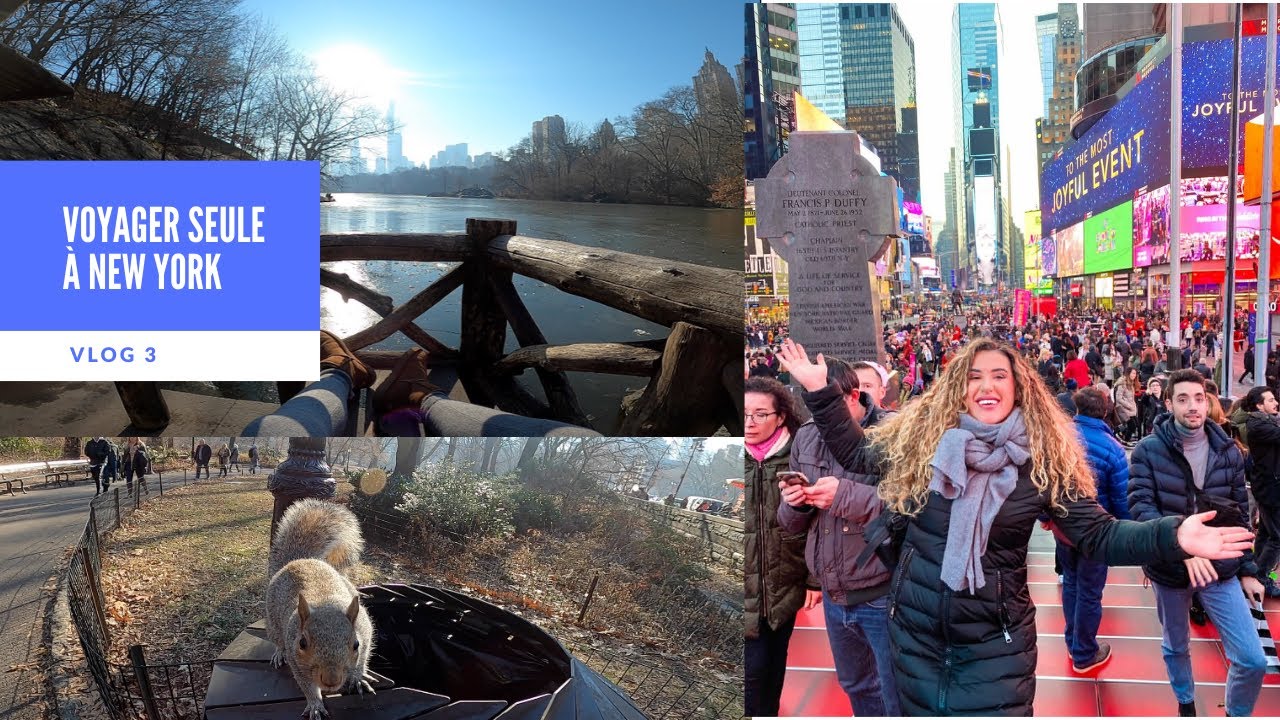 Voyager seule à New York- VLOG 3 BRUNCH MUSEUM NATURAL HISTORY CENTRAL PARK TIME SQUARE