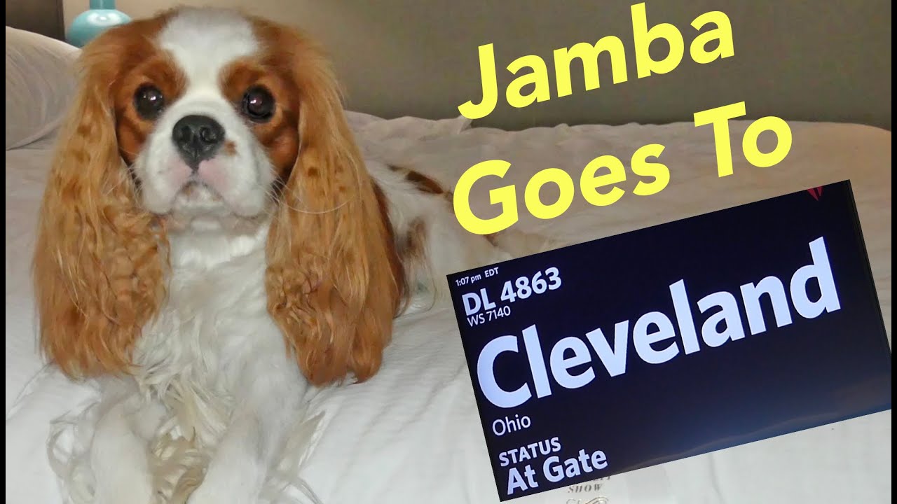 Jamba Goes To Cleveland!