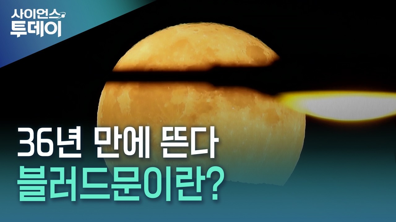 36년 만에 뜬다, 블러드문이란? / YTN 사이언스