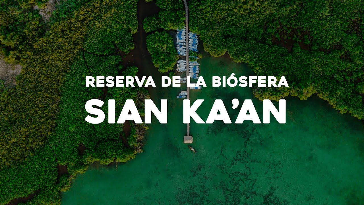 Reserva de la Biósfera de Sian Ka'an - Tulum | México | Mavic Air II 4K
