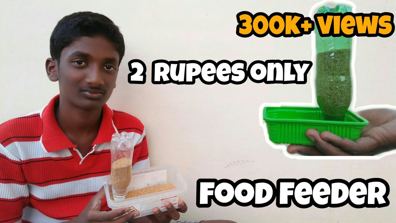 Auto food feeder making video / just 2 rupees /தமிழ்