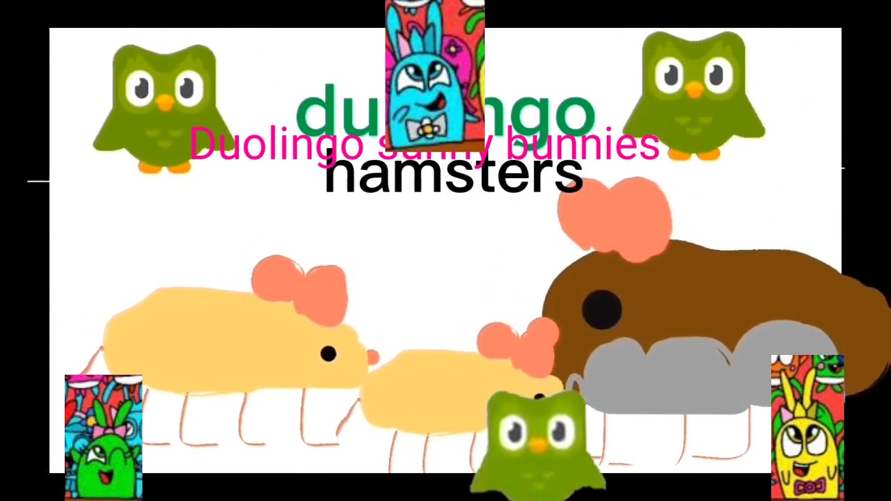 Duolingo и солнечные зайчики школа Я музыкант часть 1