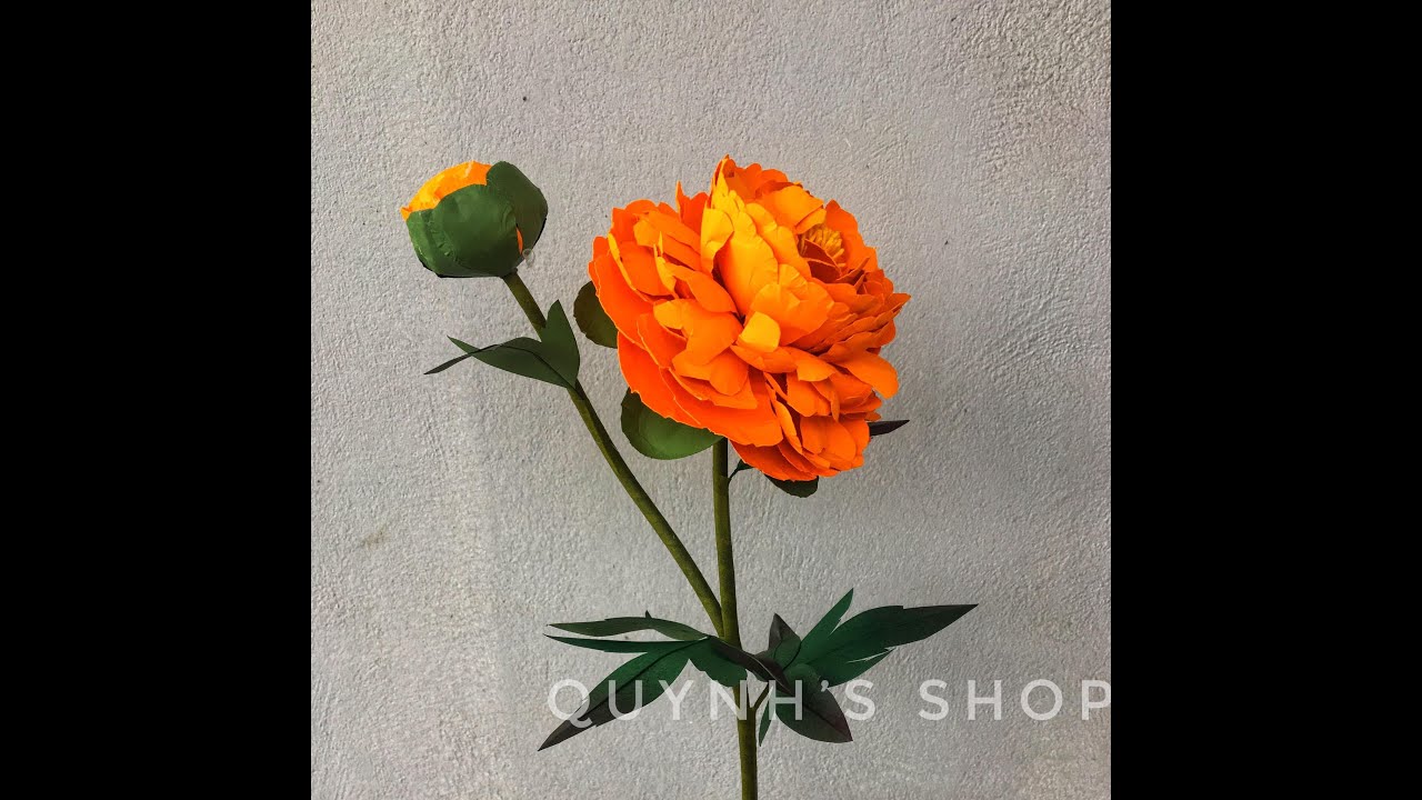 How to make peony from art (cách làm hoa mẫu đơn từ giấy mỹ thuật)
