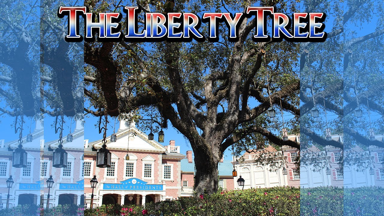 The Liberty Tree Song